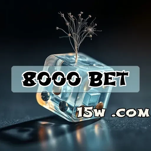 8000 bet: Encante-se com a Loteria e Ganhe Grandes Prêmios