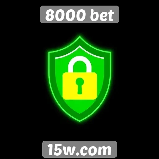 Recursos de segurança no site 8000 bet