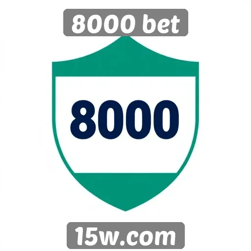 Segurança das transações financeiras na 8000 bet